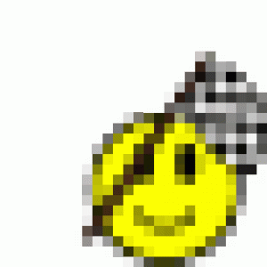 checkeredflagg.gif