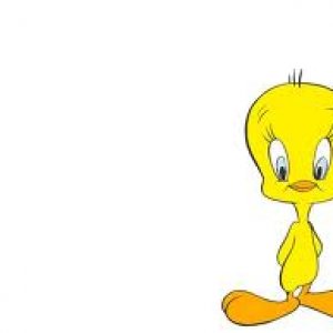Tweety.jpg
