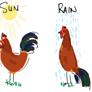 sun rain.png